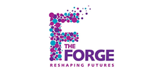 The Forge Image